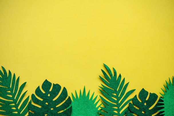 Tropical leaves in a row. Summer minimalistic design. Above there is a place for text. - Fotografie, Obrázek