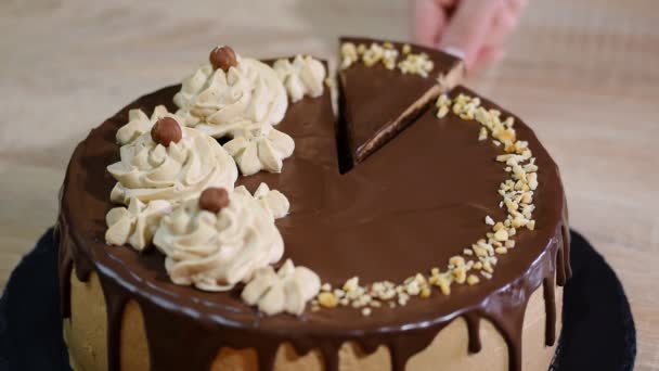 Chocolate cake with hazelnut. Piece of homemade cake - Footage, Video
