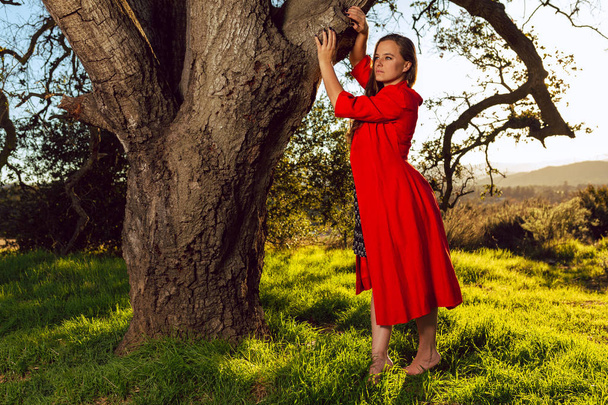 Tan mixed race woman wearing red dress poses on oak tree at sunset - Fotoğraf, Görsel