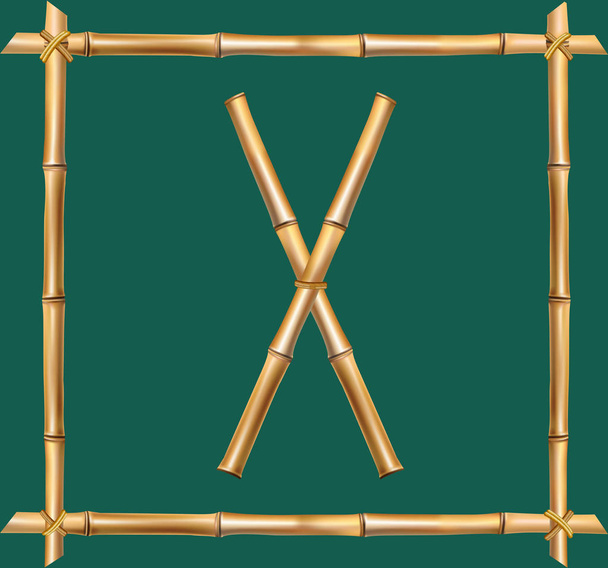 Vector bamboe alfabet. Hoofdletter X gemaakt van realistisch bruin droge bamboe palen binnenkant van houten stok frame geïsoleerd op groene achtergrond. ABC concept voor het maken van woorden, bericht, tekst, reclame. - Vector, afbeelding