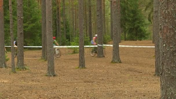 Athletes on a warm summer day compete in cycling in a challenging forest landscape. - Filmmaterial, Video