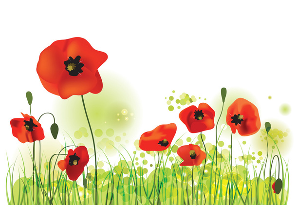 Poppies Field, vector illustration - Vector, Image
