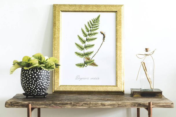 Hand drawn green aquarel fern leaf in frame and houseplant in pot on wooden table - Фото, изображение