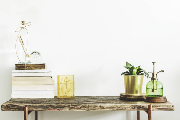 Green plant in stylish pot, stack of books and vintage spray bottle on wooden table - Photo, Image