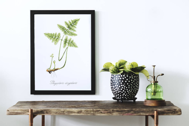 Hand drawn green aquarel fern leaf in frame and houseplant in pot and vintage bottle on wooden table - 写真・画像