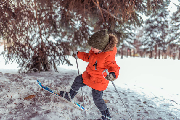 A small child of 3-5 years old, boy in winter childrens skis, in warm jacket and hat. Walking in snow on background of green Christmas trees. First steps in an active lifestyle in a snowy forest. - Foto, Bild