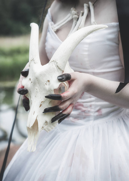 Crânio animal em mãos de noiva mortas assustadoras. Conceito de Halloween
  - Foto, Imagem