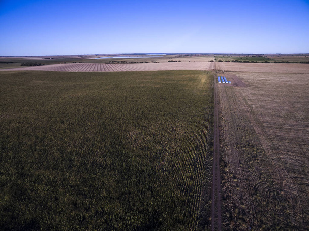 Вид с воздуха на хранилище зерна в Ла Пампа, Аргентина
 - Фото, изображение