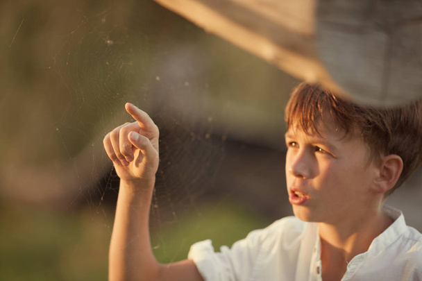 boy touches web with his finger, outdoor - 写真・画像