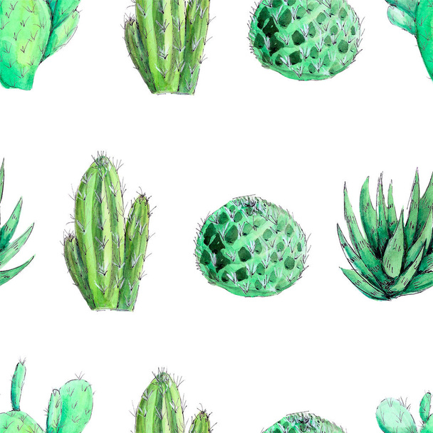 watercolor blooming cactus isolated on white background, prickly green, seamless pattern for printing. - Foto, immagini