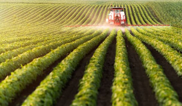 Trator que pulveriza pesticidas em campos de soja - Foto, Imagem