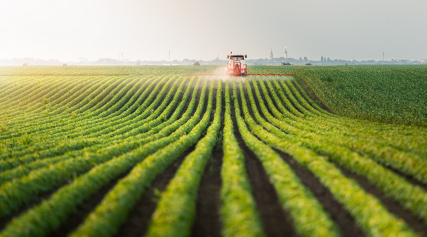 Trattori che spruzzano pesticidi nei campi di soia - Foto, immagini
