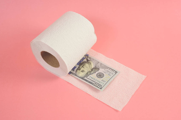 American dollar bill and toilet paper, saving concept - Photo, image