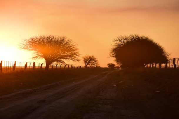 Puesta de sol en el campo, La Pampa, Argentina
 - Foto, imagen