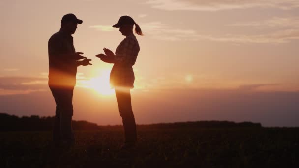 Zwei erfolgreiche Bauern - ein Mann und eine Frau - kommunizieren bei Sonnenuntergang auf dem Feld. Konzept des ökologischen Landbaus - Filmmaterial, Video