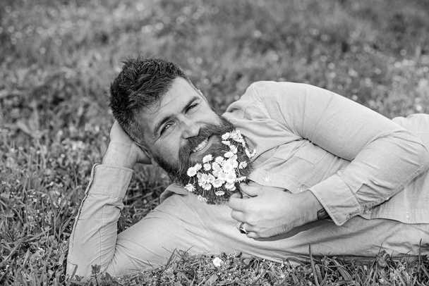 Bearded man with daisy flowers lay on meadow, lean on hand, grass background. Masculinity concept. Hipster with daisies in beard looks attractive. Man with beard on smiling face enjoy nature - Foto, immagini