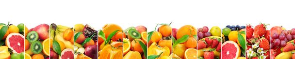 Coleção panorâmica frutas frescas isoladas em branco. Ampla foto com espaço livre para texto
. - Foto, Imagem