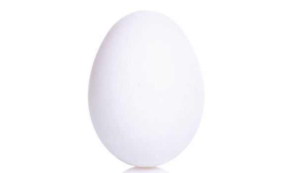huevo de gallina blanca sobre fondo blanco con reflejo
 - Foto, Imagen