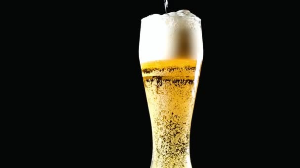 Light beer is poured into a rotating glass on a black background. - Footage, Video