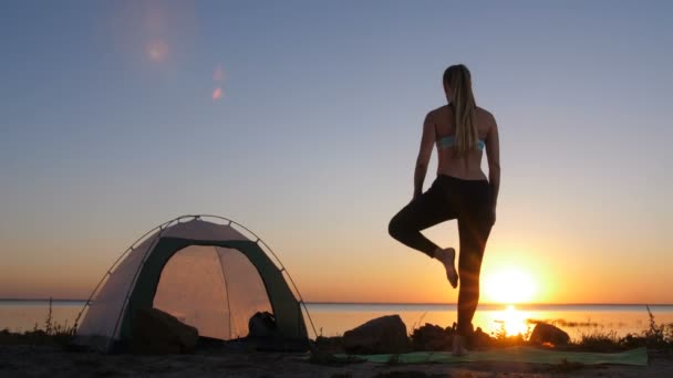 Mujer realizando árbol yoga pose mientras acampa
 - Imágenes, Vídeo