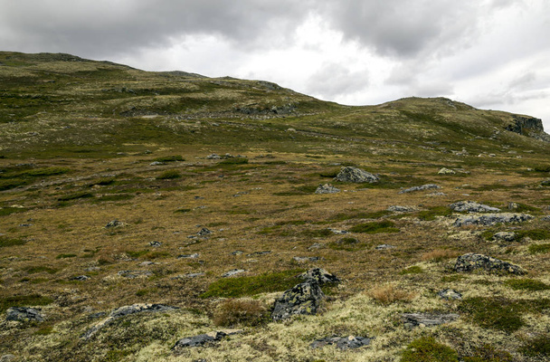 Βουνά στο εσωτερικό της Νότιας Νορβηγίας σε μια συννεφιασμένη μέρα. - Φωτογραφία, εικόνα