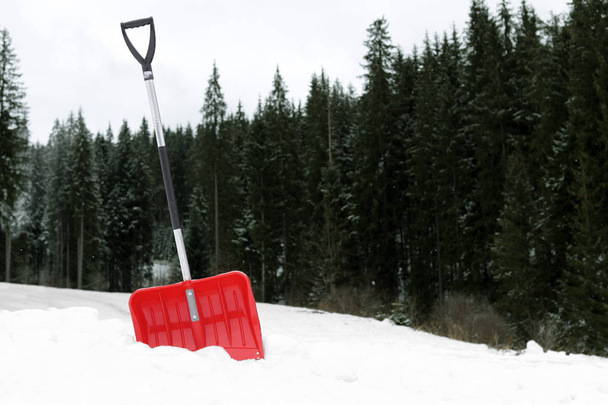 Shovel in snow near forest, space for text. Winter outdoor work - Fotoğraf, Görsel