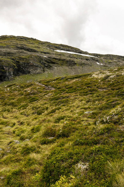 Montagne nell'entroterra della Norvegia meridionale in una giornata nuvolosa
. - Foto, immagini