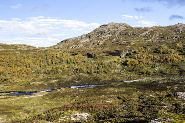 Гори в інтер'єрі півдні Норвегії на Похмурий день. - Фото, зображення