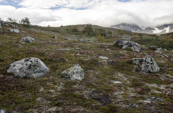 Bulutlu bir günde southern Norway iç dağlar. - Fotoğraf, Görsel