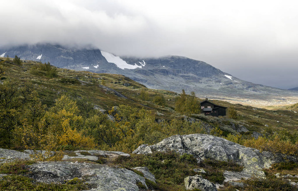 Góry w głębi południowej Norwegii w pochmurny dzień. - Zdjęcie, obraz