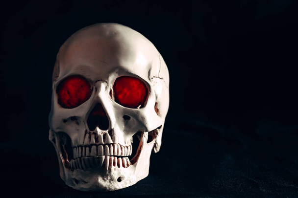 skull in the dark - Foto, afbeelding