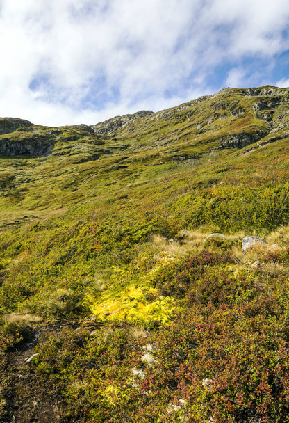 内曇りの日にノルウェー南部の山々. - 写真・画像