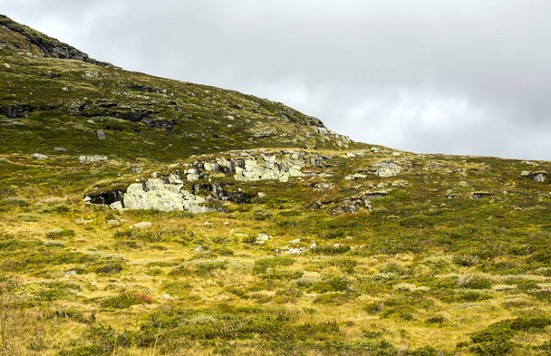 Montañas en el interior del sur de Noruega en un día nublado
. - Foto, imagen