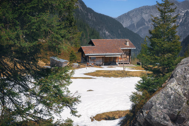 Sunny day of spring in the Swiss Alps mountains with green pine trees, snow, peaks and a wooden cabin. Alpine countryside in Switzerland. - Photo, Image
