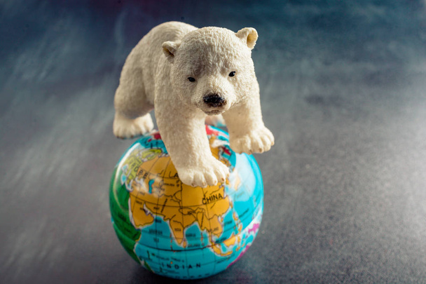 Modèle ours polaire et modèle globe en vue - Photo, image