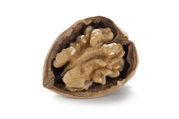 кусочек треснувшего ореха
 - Фото, изображение