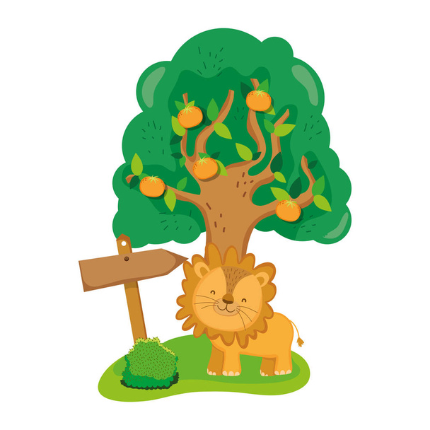 mignon et petit personnage de lion vecteur illustration design
 - Vecteur, image