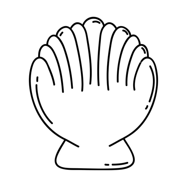 decorative shell isolated icon vector illustration design - Vector, Image