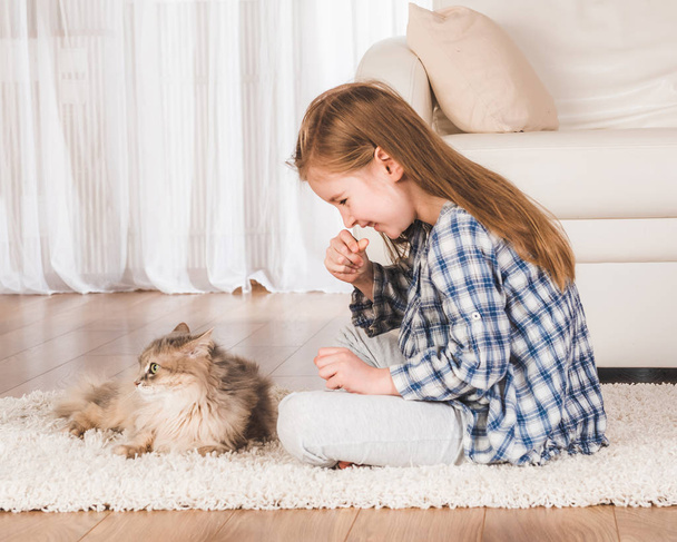 Girl playing with cat - Foto, afbeelding