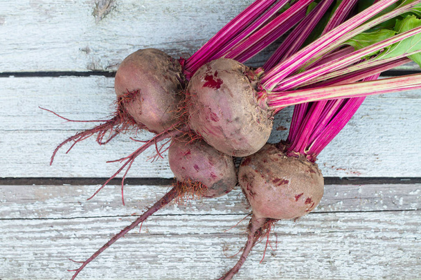 Fresh organic beet, beetroot on the grey rustic wooden background. Closeup, selective focus - Photo, Image
