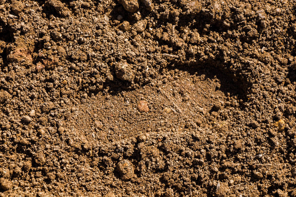 Superficie del suolo come texture di sfondo - Foto, immagini