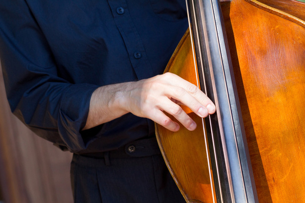 Musician playing double-bass - Foto, afbeelding