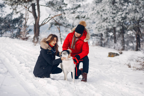 Beautiful couple playing with a dog - Photo, Image