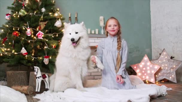 Kaunis hymyilevä tyttö yöpuvussa istuu matolla lähellä joulukuusi ja tilalla samoyed koiran tassu ja katselee kameraan - Materiaali, video