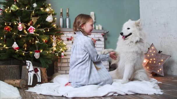 Linda chica sonriente en ropa de noche está sentado en la alfombra cerca del árbol de Navidad y la celebración de la pata del perro samoyed y acariciarlo. - Metraje, vídeo