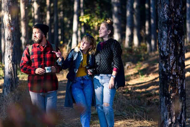 Ryhmä ystäviä patikoimassa metsässä
 - Valokuva, kuva