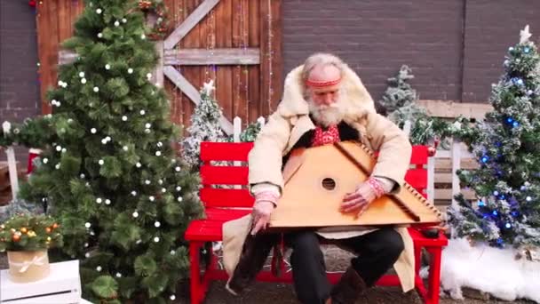 Vanha mies, jolla on valkoinen parta maalaismaisessa venäläisessä asussa istuu penkillä joulukuusen lähellä, pelaa dulcimeeria ja laulaa - Materiaali, video
