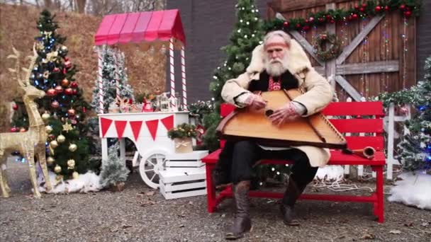 Sliding portrait of old man with white beard in rustic national russian costume sitting on the bench near Christmas tree, playing dulcimer and singing very emotionally - Footage, Video