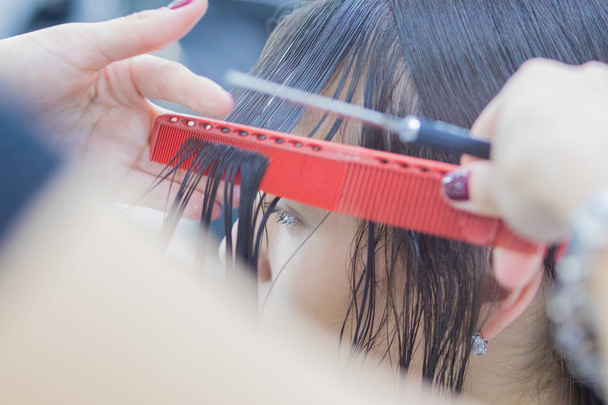 The hairdresser does a haircut of hair to a woman, a brunette in a beauty salon. - Φωτογραφία, εικόνα