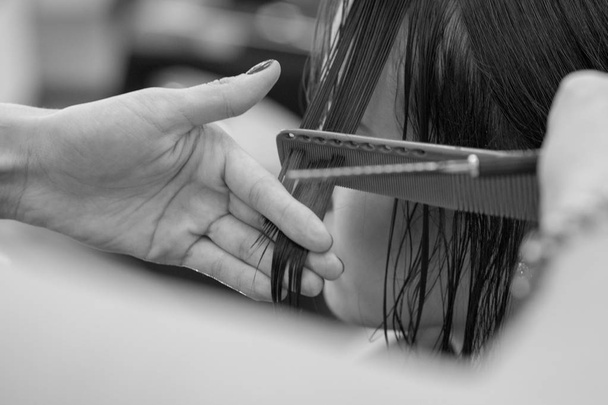 The hairdresser does a haircut of hair to a woman, a brunette in a beauty salon. - Foto, afbeelding